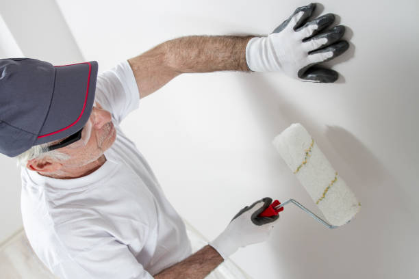 Best Drywall Sanding and Smoothing  in La Porte City, IA