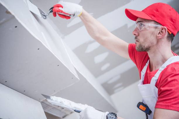  La Porte City, IA Dry wall and painting Pros